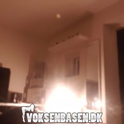 1v u/køkken udlejes