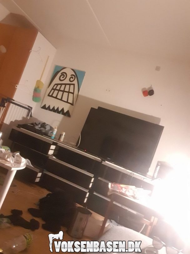 1v u/køkken udlejes